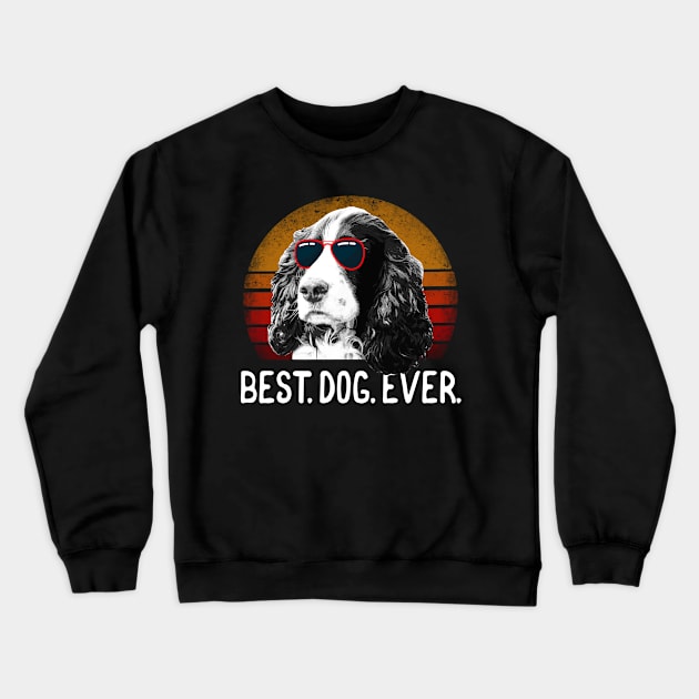 English Springer Spaniel Crewneck Sweatshirt by AllWellia